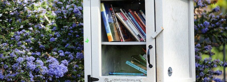 Walking the talk: a peek into Open Science practices at CWTS