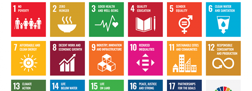 Consensus and dissensus in ‘mappings’ of science for Sustainable Development Goals (SDGs)