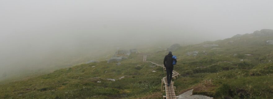 Who absorbs uncertainty? Publishing infrastructures and the organisation of research culture