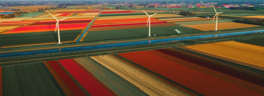 Monitoring Open Science in The Netherlands