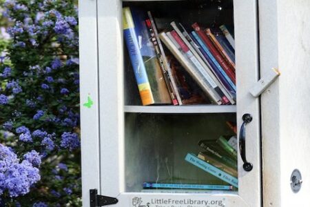 Walking the talk: a peek into Open Science practices at CWTS